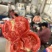 西红柿🍅普罗旺斯品质优价格优势服务理念诚信
