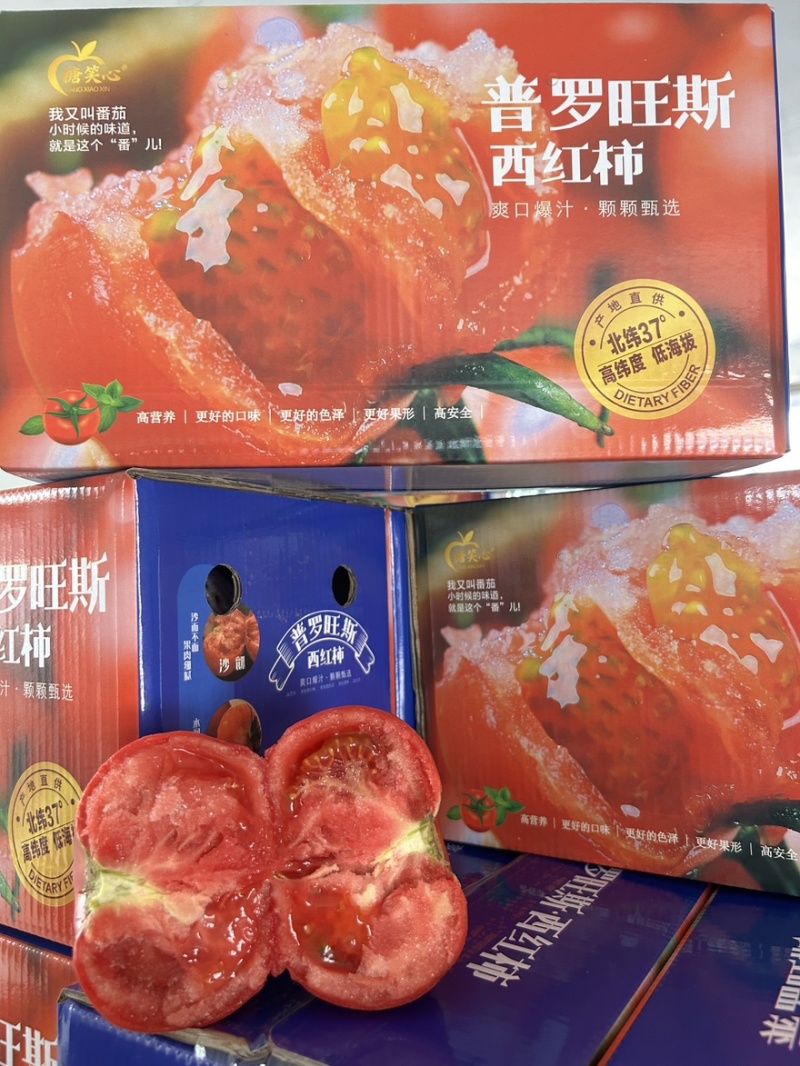 西红柿🍅普罗旺斯品质优价格优势服务理念诚信