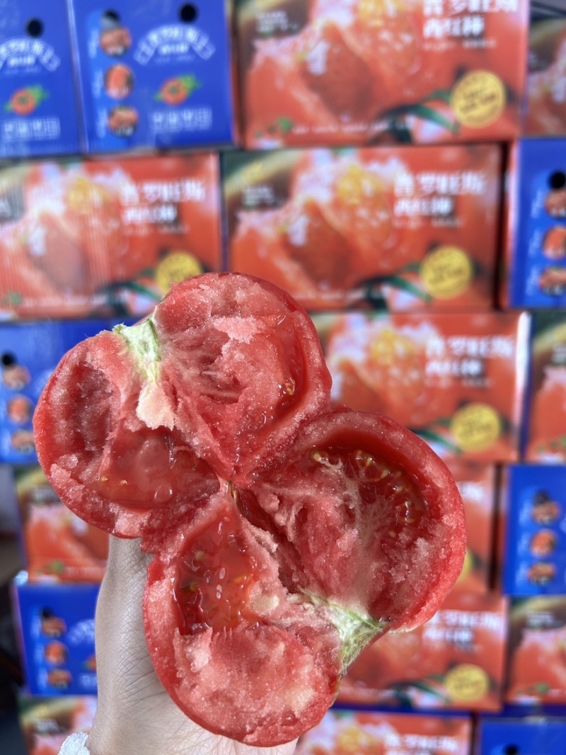 西红柿🍅普罗旺斯品质优价格优势服务理念诚信