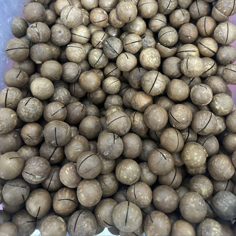 夏威夷果一件代发价格合适