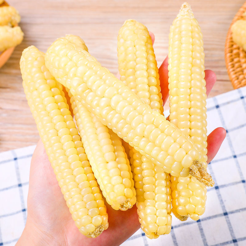 云南西双版纳拇指小包谷玉米棒真空袋装新鲜即食非转基因低脂粗粮