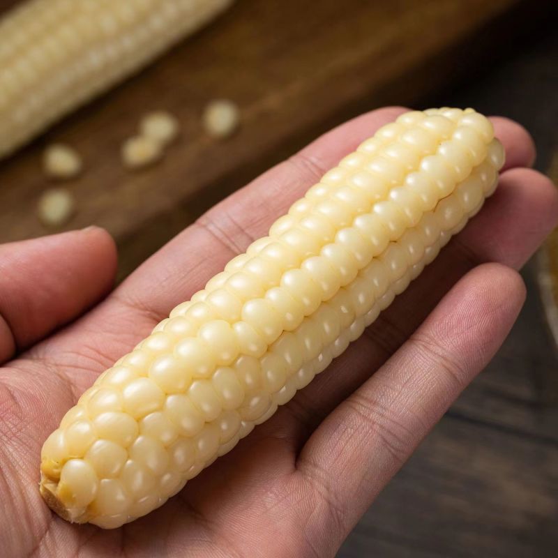 云南西双版纳拇指小包谷玉米棒真空袋装新鲜即食非转基因低脂粗粮