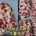 谷饲牛群肉