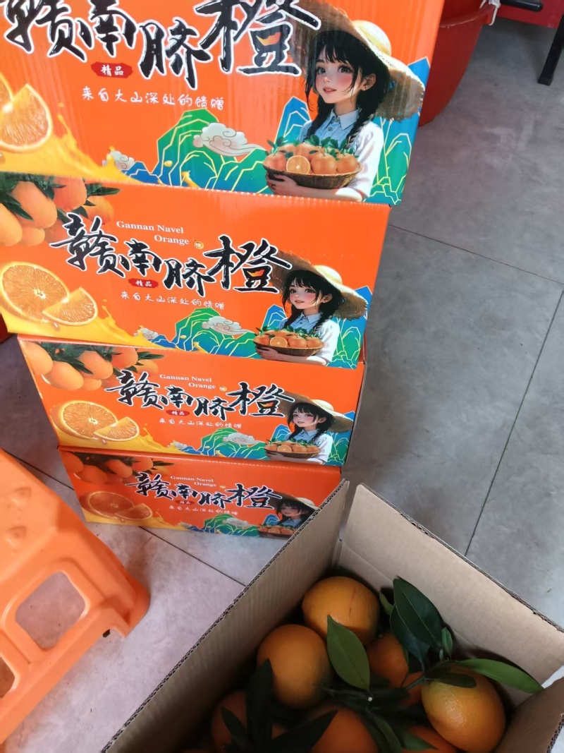 精品赣南脐橙货源充足量大从优质量保证产地供应