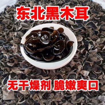 【实力】正宗东北黑木耳精品黑木耳头茬新货！