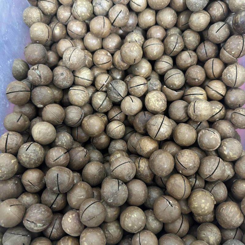 夏威夷果需要的老板联系