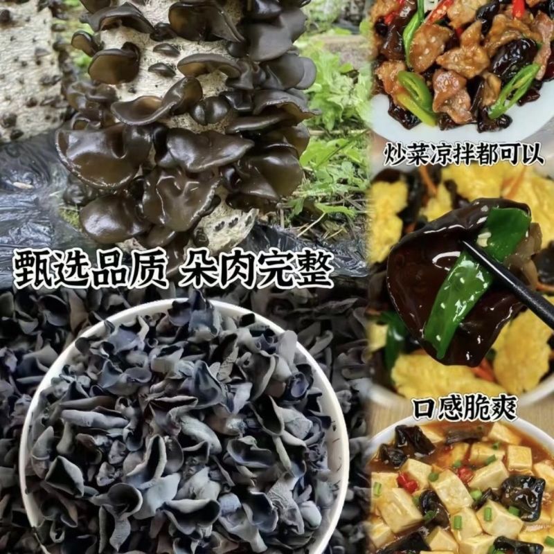 【实力】正宗东北黑木耳精品黑木耳头茬新货！