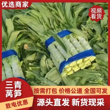 脆嫩多汁三青莴笋，当季产地直供，量大从优特惠批发