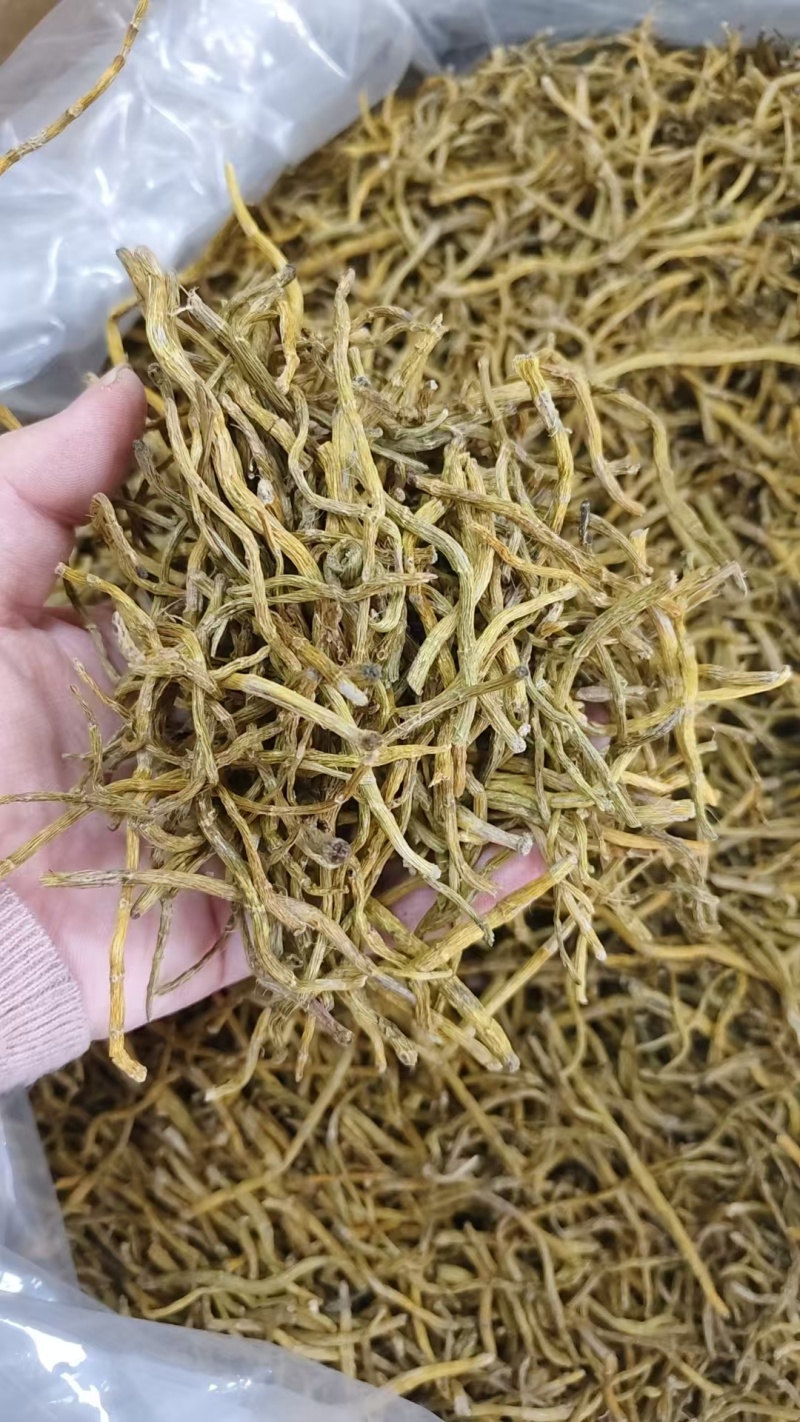 石斛卷，铁皮石斛枫斗，紫皮石斛枫斗规格齐全批发零售