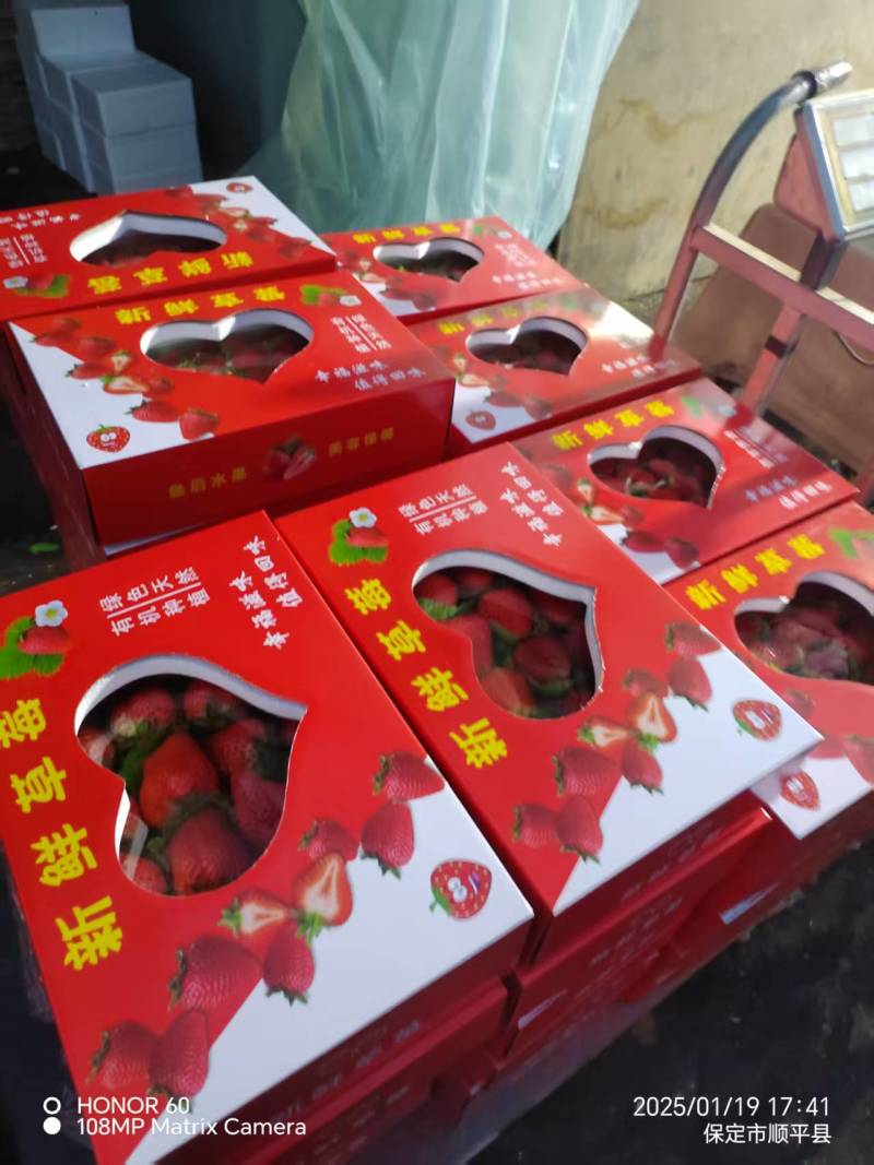热销红颜久久草莓产地直供，可视频看货，量大价优