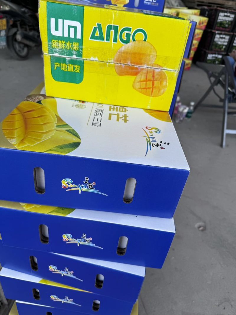 海南三亚热带小台芒，十斤装高山热带水果口感十足一件十斤装