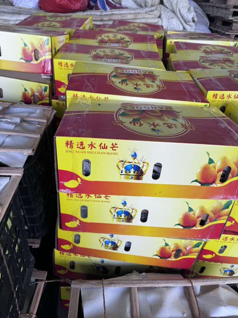 海南三亚热带小台芒，十斤装高山热带水果口感十足一件十斤装