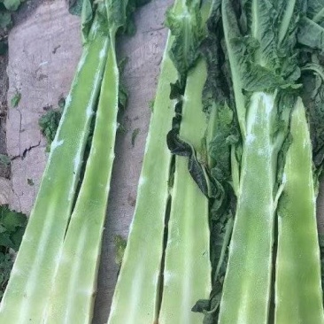 精品靓货，原产地直发，颜色绿个头大，保质保量