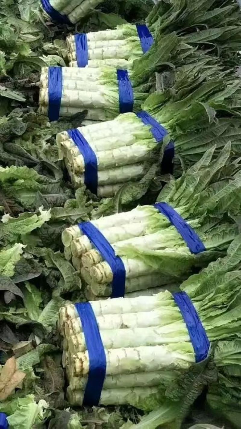精品靓货，原产地直发，颜色绿个头大，保质保量
