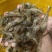 小河虾（量大从优）规格齐全品质保证，欢迎来电咨询