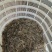 小河虾（量大从优）规格齐全品质保证，欢迎来电咨询
