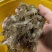 小河虾（量大从优）规格齐全品质保证，欢迎来电咨询