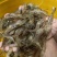 河虾四川河虾大量现货，规格齐全品质保证，可视频看货