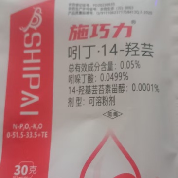 施巧力
