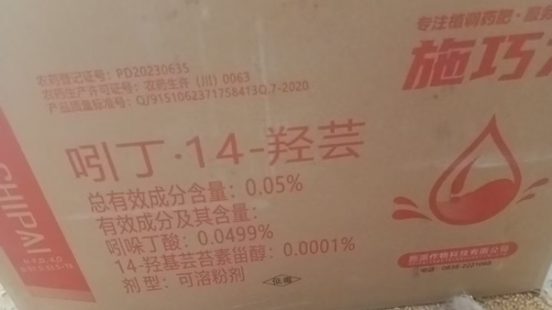施巧力