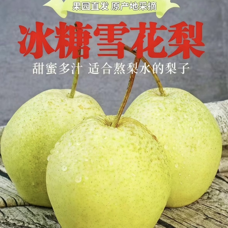 河北赵县雪花梨产地直供质量保证甜蜜多汁