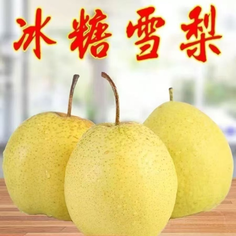 河北赵县雪花梨产地直供质量保证甜蜜多汁