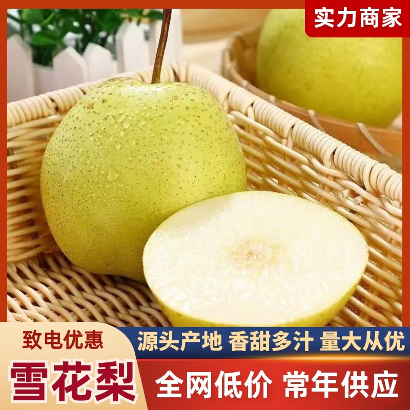 河北赵县雪花梨产地直供质量保证甜蜜多汁
