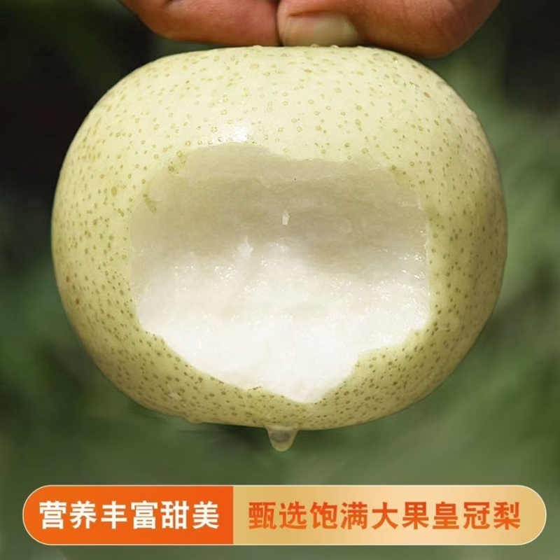 河北赵县皇冠梨脆甜多汁产地直达诚信经营量大从优