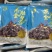 捞汁新品黑金肚条鱿鱼系列脆口鱿鱼捞汁食材鱿鱼肉