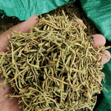 2025年贵州金银花太阳晒干干花***清仓干货
