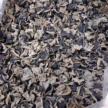 东北黑木耳品质精选值得信任全国直发！