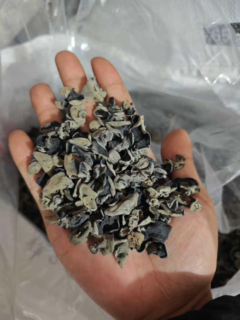 东北黑木耳品质精选值得信任全国直发！