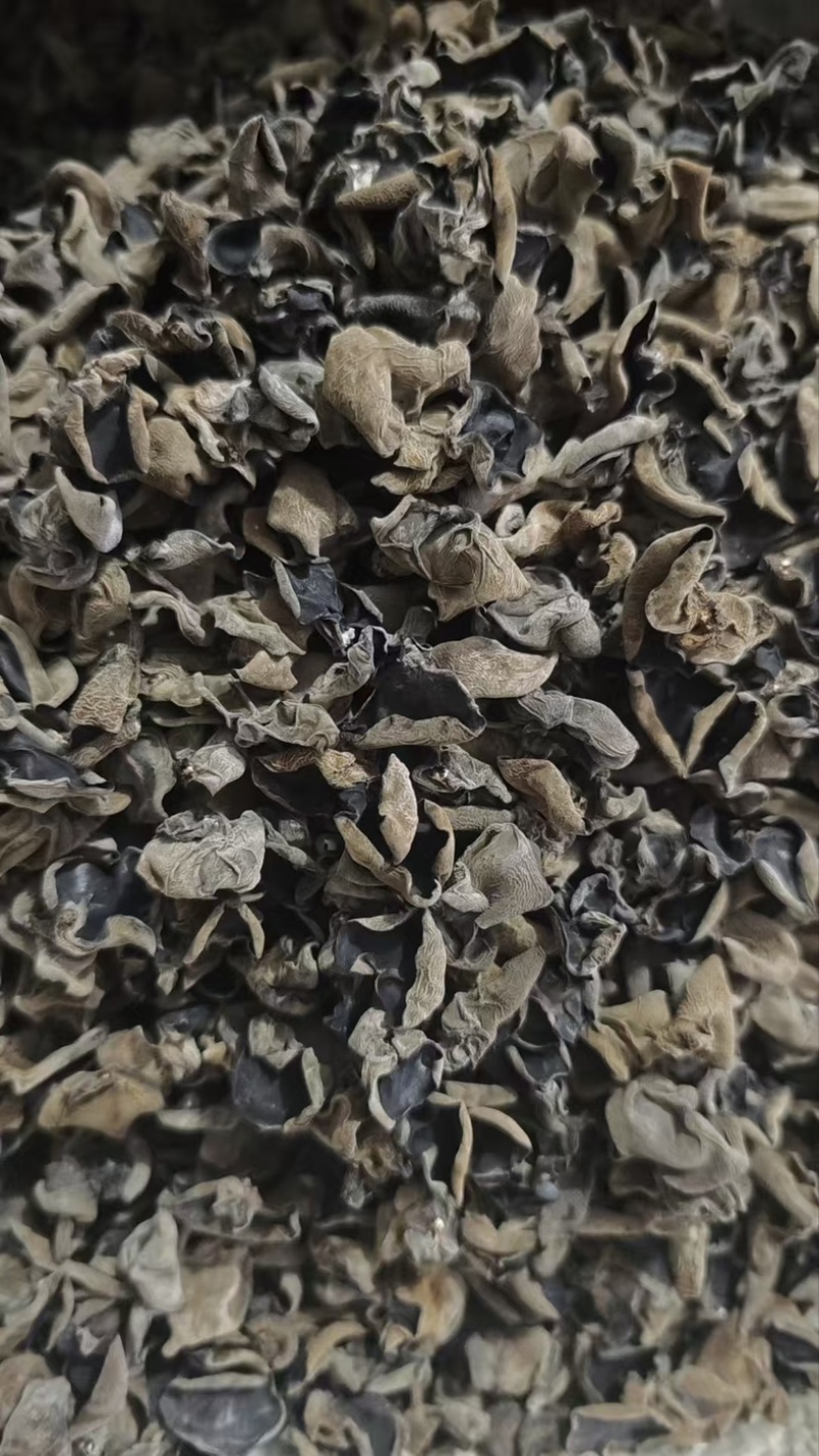 东北黑木耳品质精选值得信任全国直发！