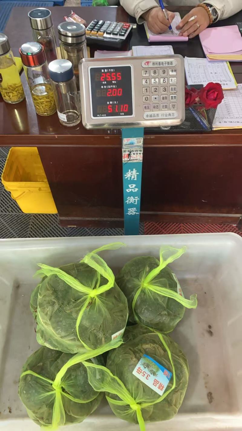 大闸蟹