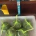 大闸蟹