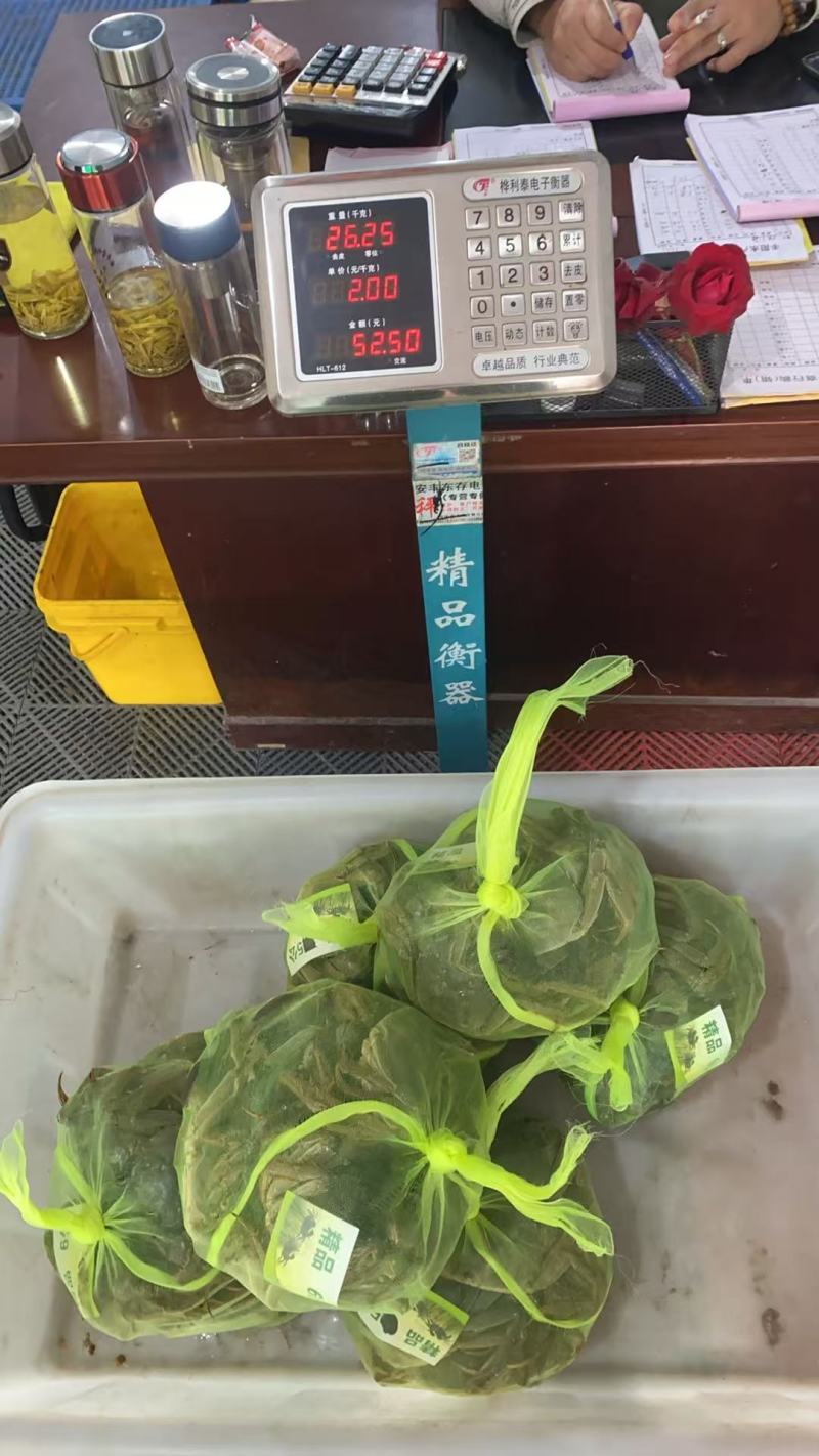大闸蟹