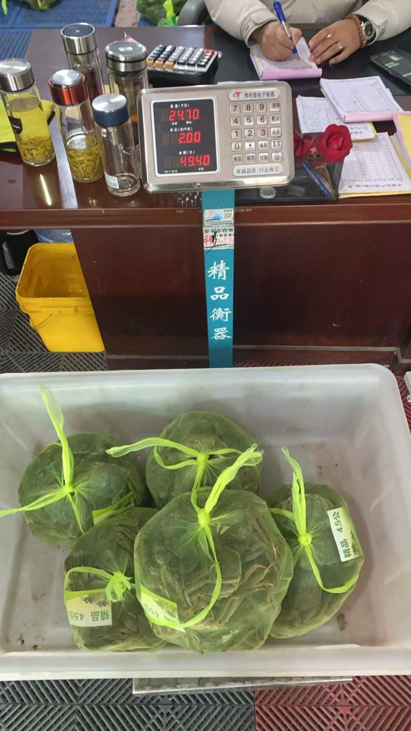 大闸蟹
