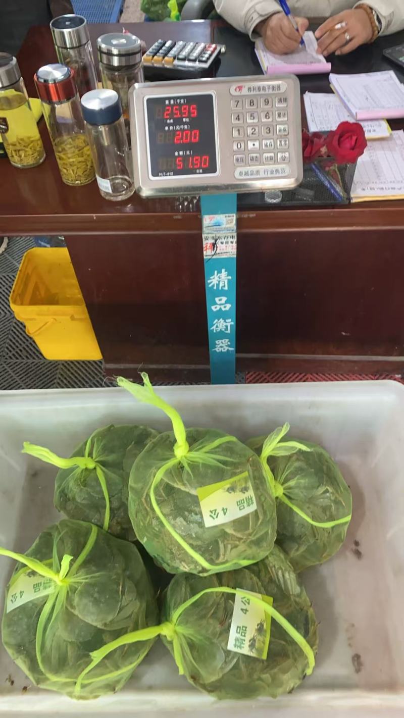 大闸蟹