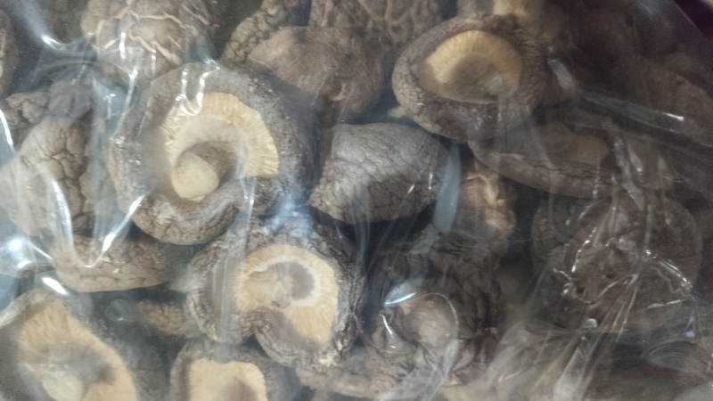 干香菇，花菇，