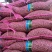 白玉山药豆小白嘴山药豆市场串糖球山药豆