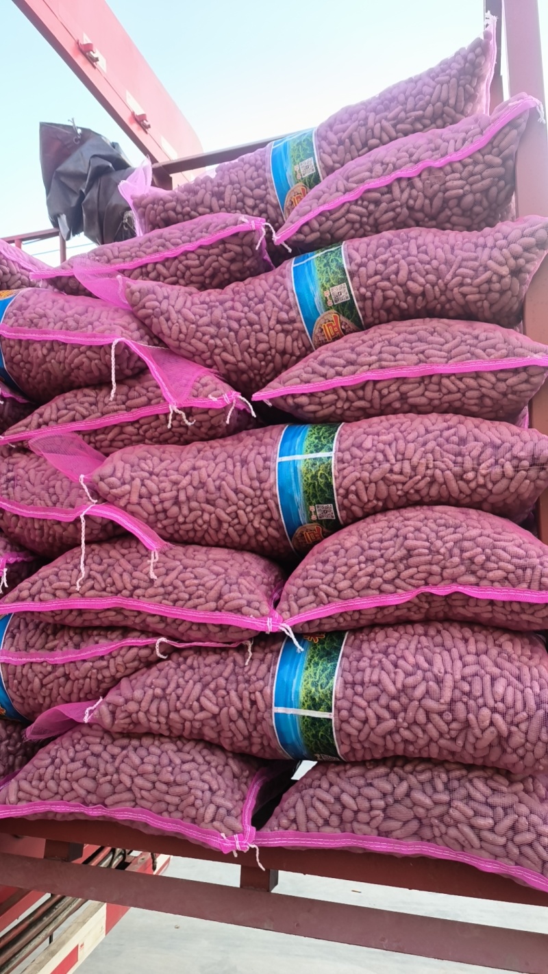 白玉山药豆小白嘴山药豆市场串糖球山药豆