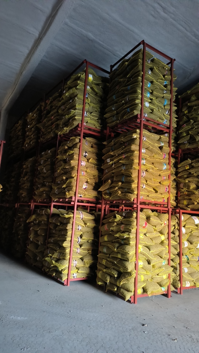 白玉山药豆小白嘴山药豆市场串糖球山药豆