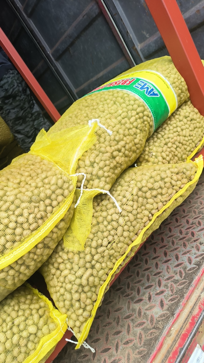 白玉山药豆小白嘴山药豆市场串糖球山药豆