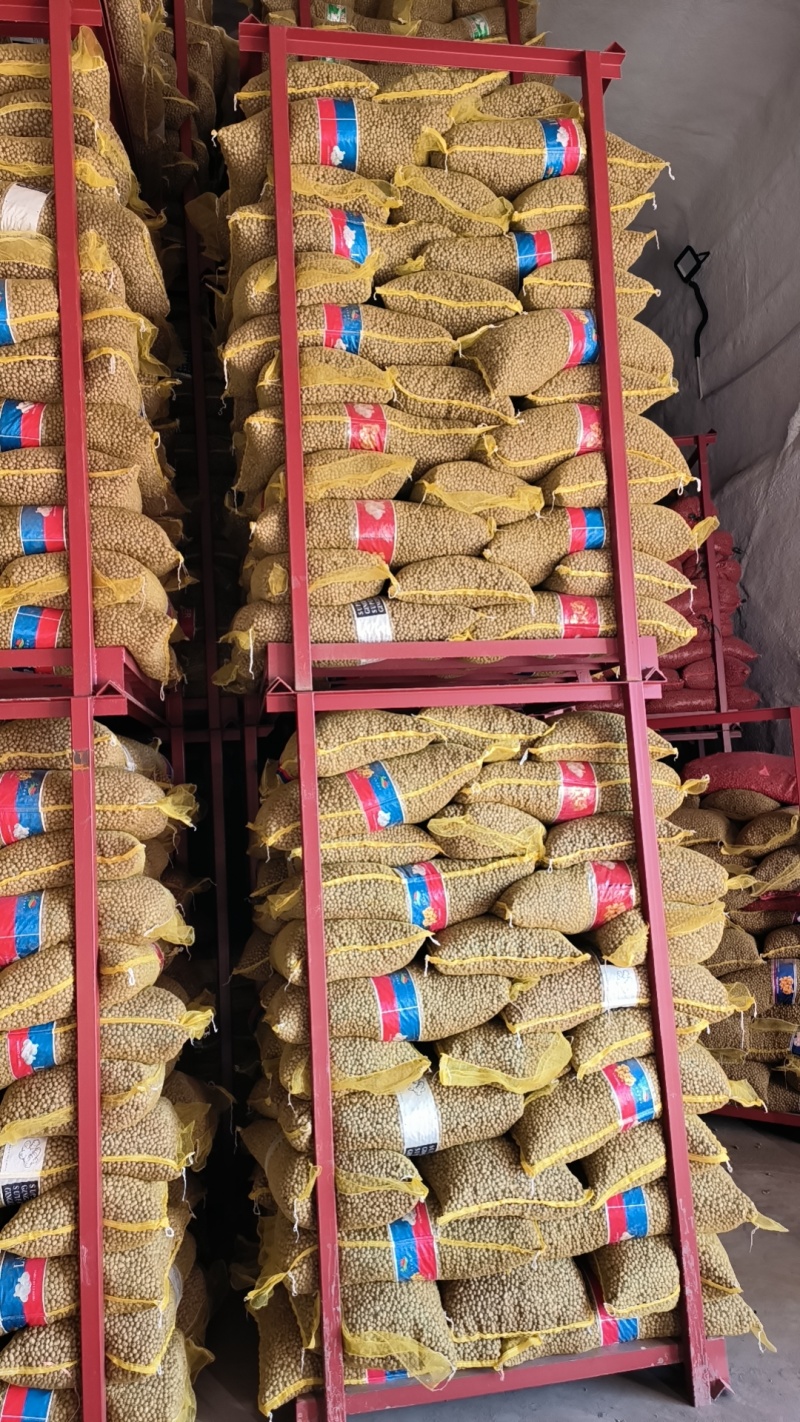 白玉山药豆小白嘴山药豆市场串糖球山药豆