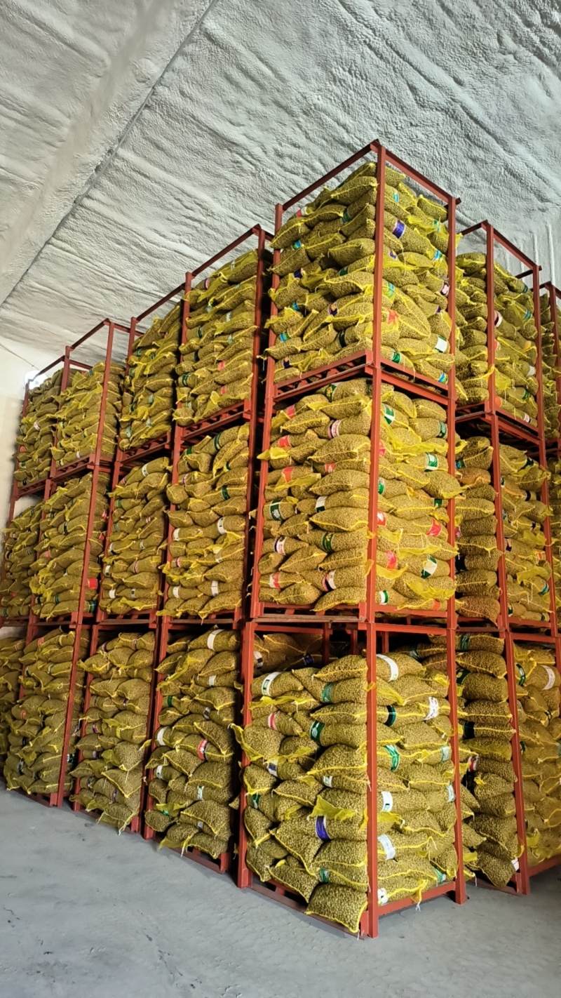 白玉山药豆小白嘴山药豆市场串糖球山药豆