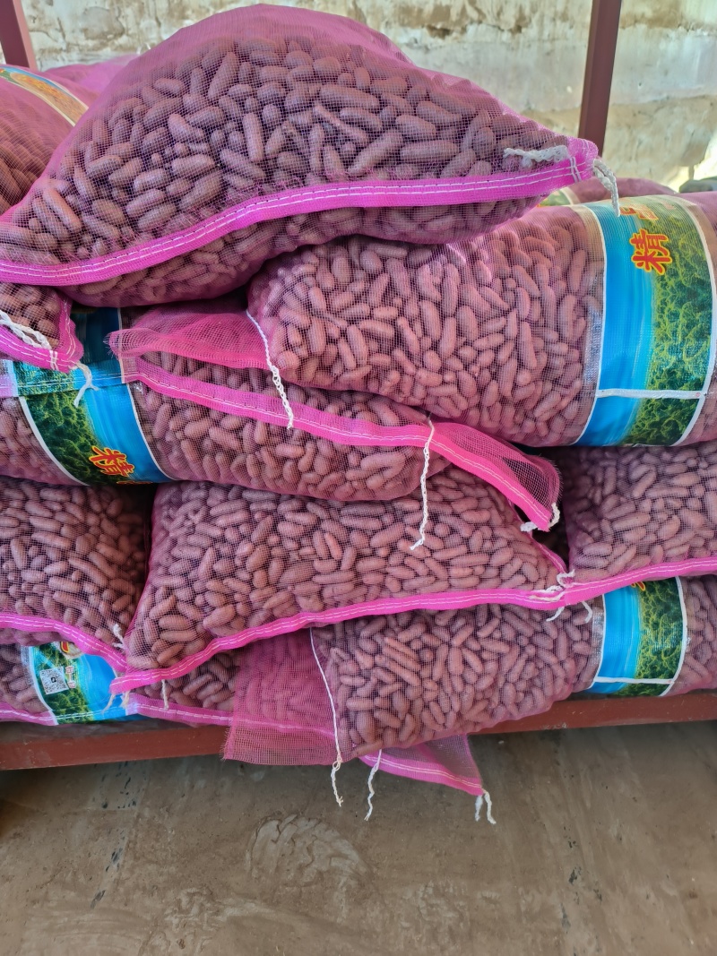 白玉山药豆小白嘴山药豆市场串糖球山药豆