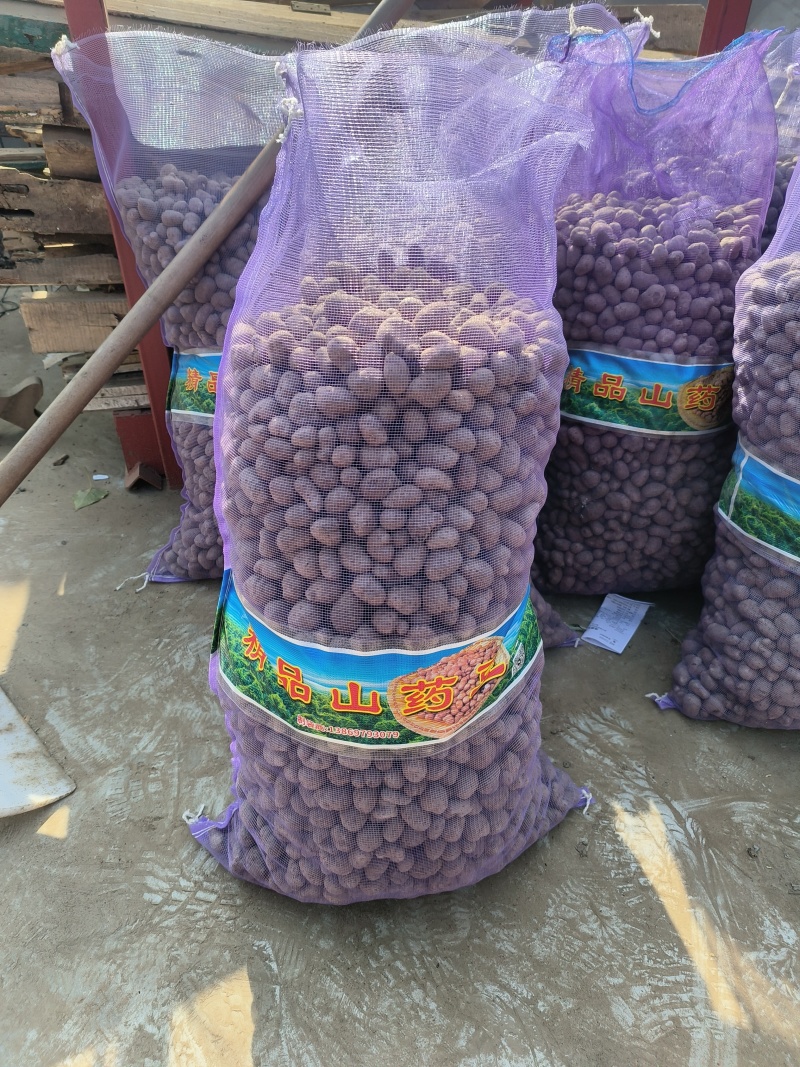 白玉山药豆小白嘴山药豆市场串糖球山药豆