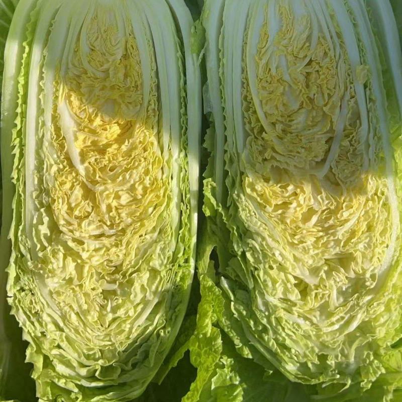 北京3号