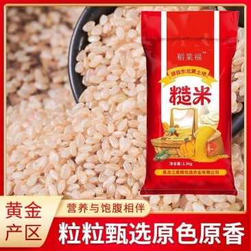 东北新米五常糙米5斤单色糙米胚芽纯糙米粗粮五谷杂粮批发
