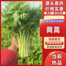 茼蒿现货源头直供价格实惠量大从优可视频看货对接全国